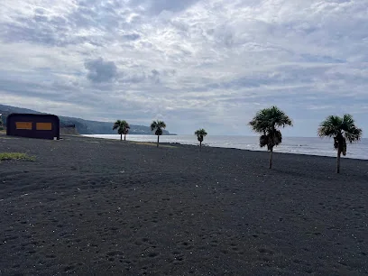 오시마에서 만나는 숨은 매력, 분위기 좋은 6곳 추천