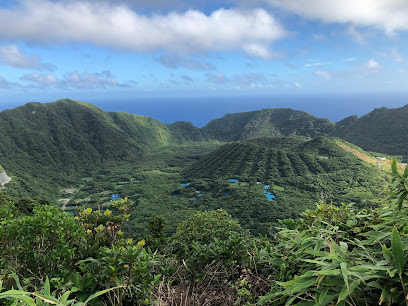 아오가시마에서의 2일간의 혼자 여행: 자연과 맛을 만끽하는 여정